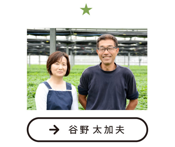 矢野太加夫