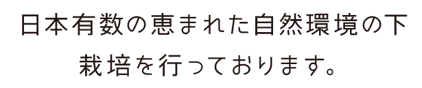 日本有数の恵まれた自然環境の下
栽培を行っております。