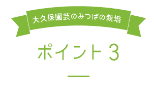 大久保園芸のみつばの栽培ポイント3