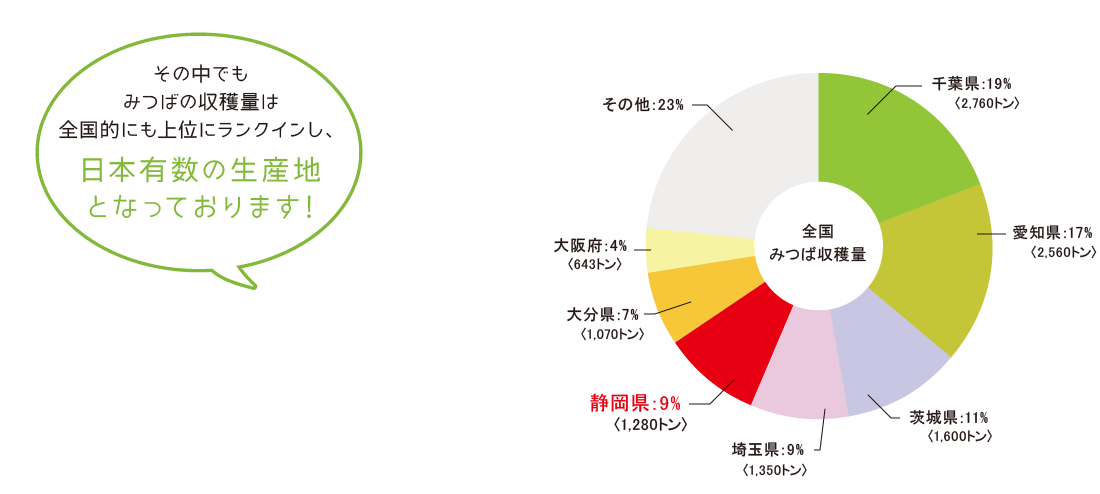 その中でも
みつばの収穫量は
全国的にも上位にランクインし、日本有数の生産地
となっております!