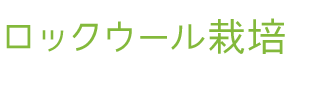 湛液流動水耕