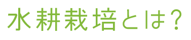 水耕栽培とは?